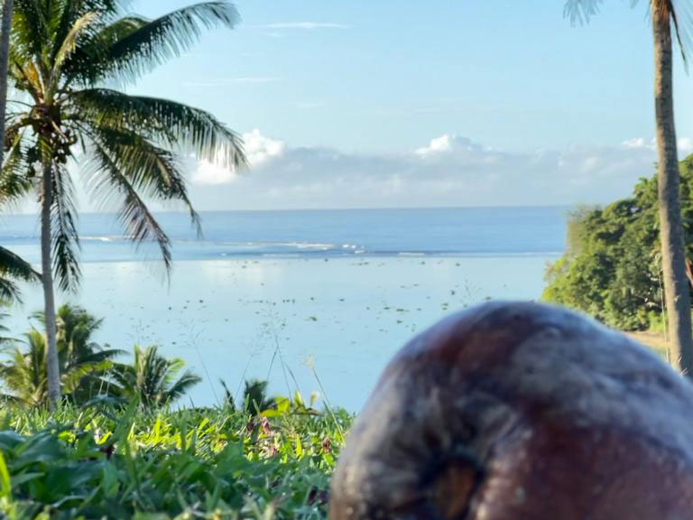 ocean-palm-trees_768x576px