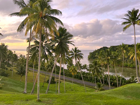 palm-tree-hills_480x360px